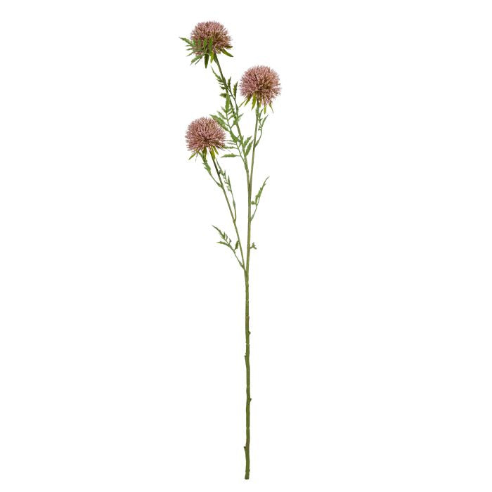 Allium Spray - Rouge