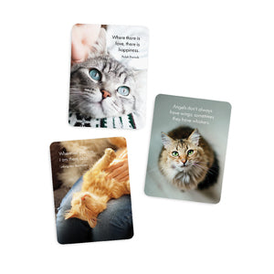 The Great Catsby 24 Affirmation Cards