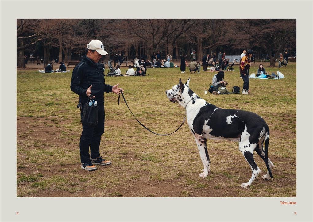 Dog’s Best Friend
