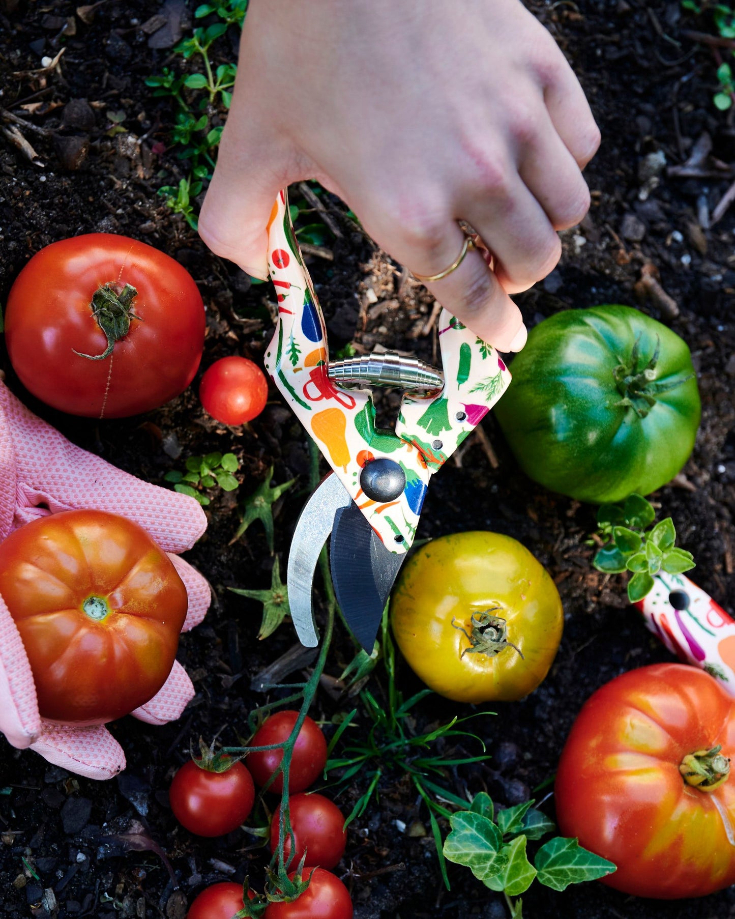 Stephanie Alexander Harvest Garden Secateurs & Gloves Set - Kip&Co