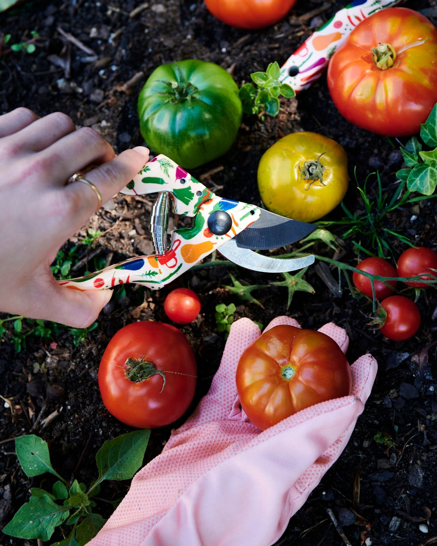 Stephanie Alexander Harvest Garden Secateurs & Gloves Set - Kip&Co