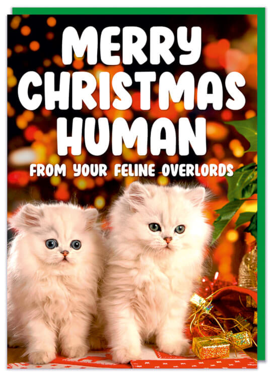 Merry Christmas Human Card - Dean Morris