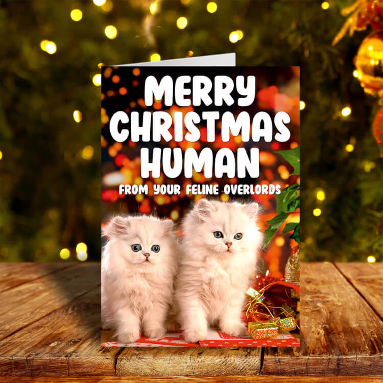 Merry Christmas Human Card - Dean Morris
