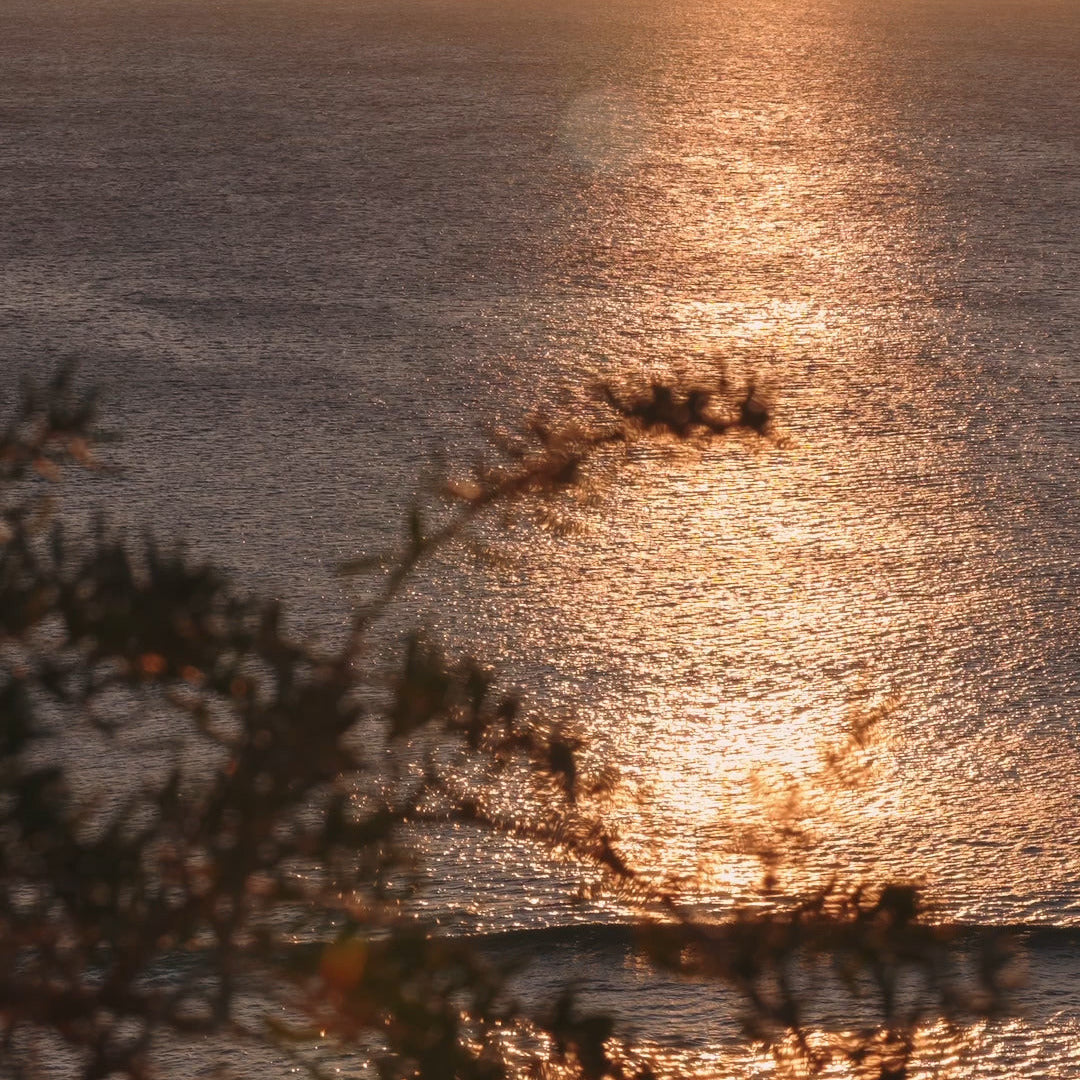 Freycinet in Coastal Moss & Sea Salt Room Mist