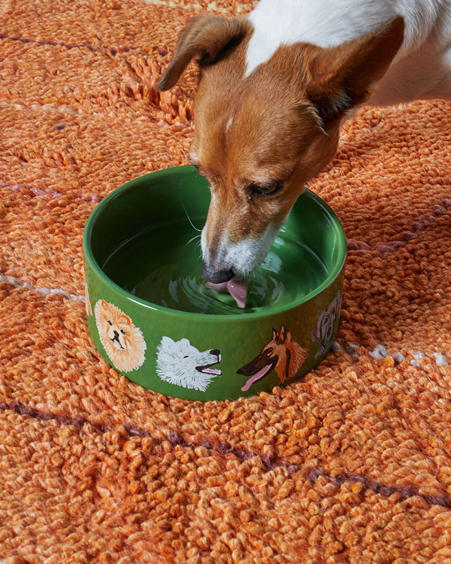 Dog Park Dog Bowl - Kip&Co