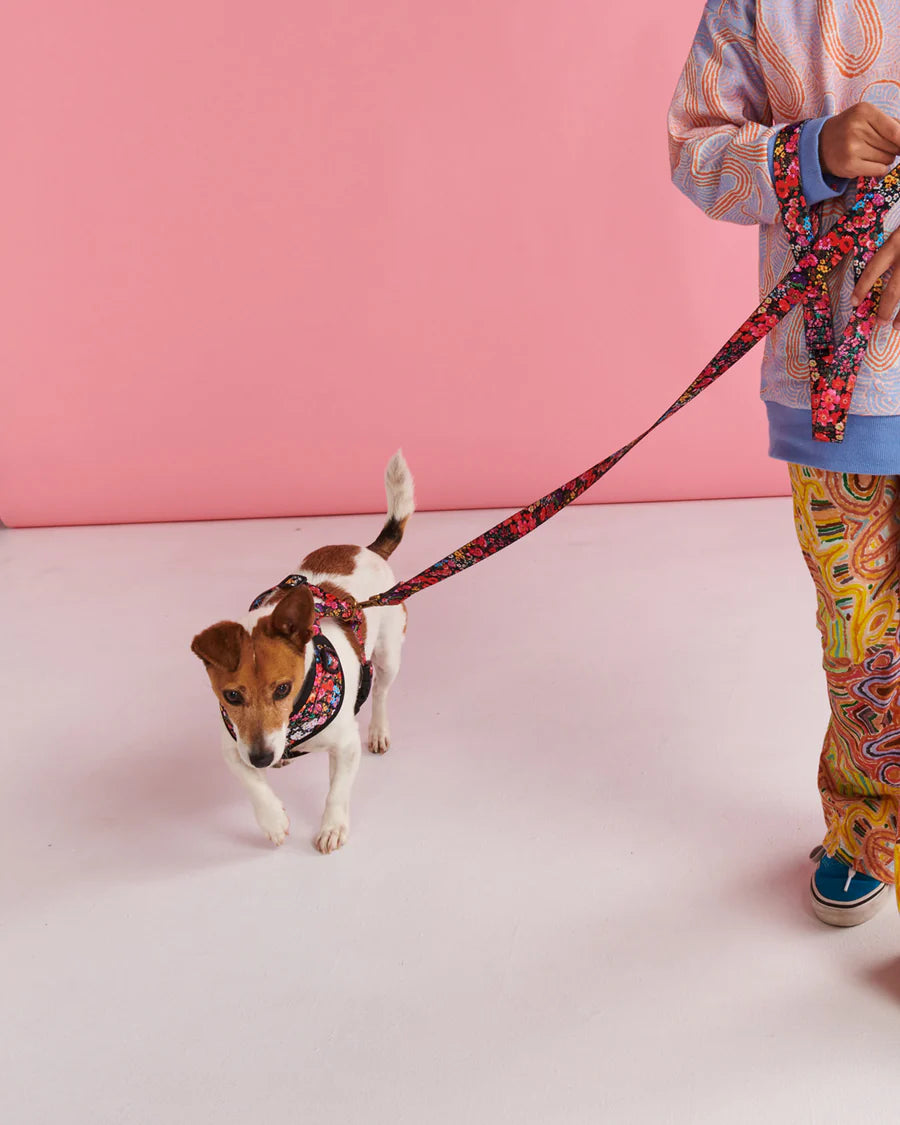 Forever Floral Dog Lead - Kip&Co
