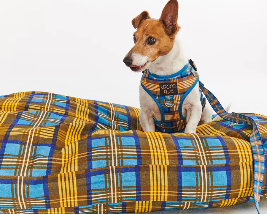 Cosy Tartan Dog Lead - Kip&Co