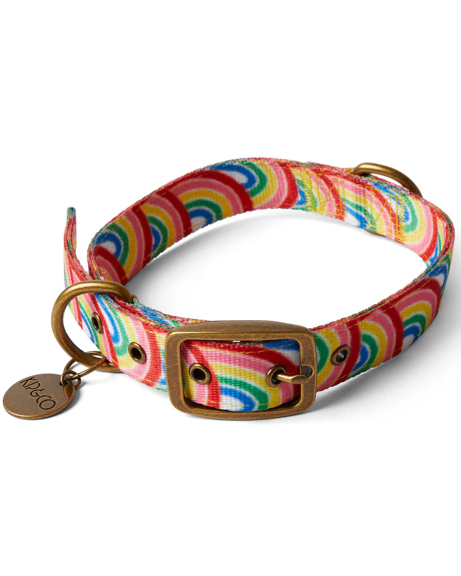 Rainbow Spray Dog Collar - Kip&Co