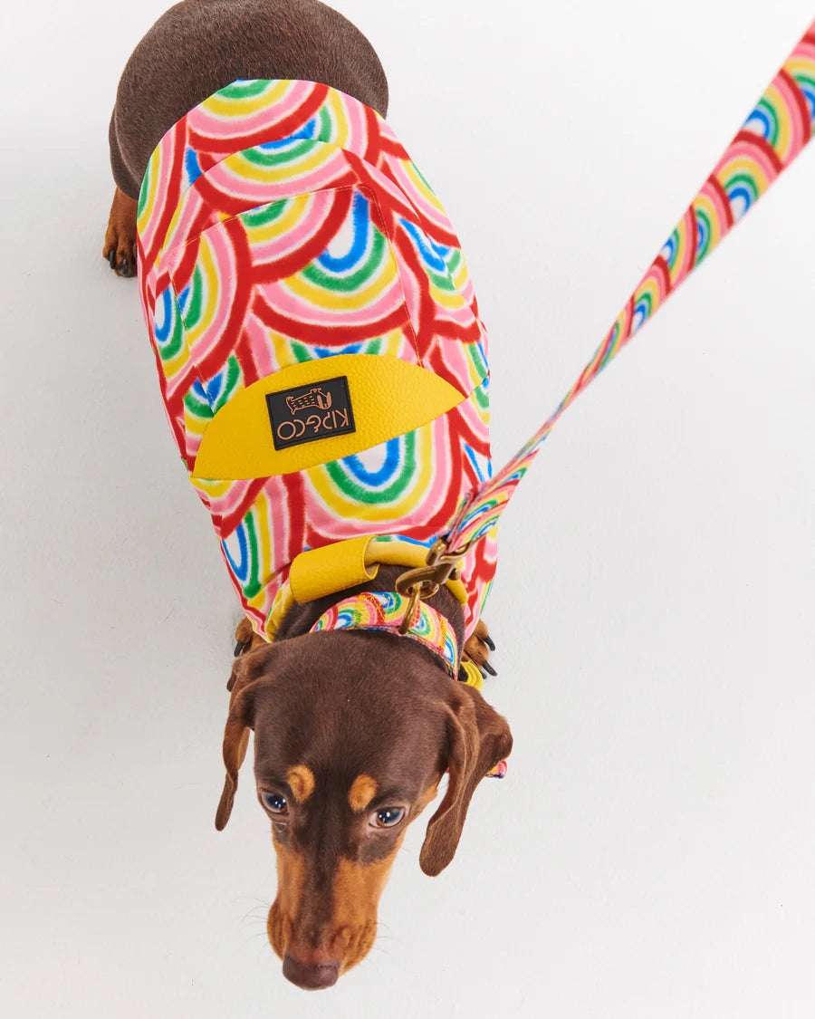 Rainbow Spray Dog Collar - Kip&Co