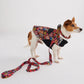 Forever Floral Dog Collar - Kip&Co