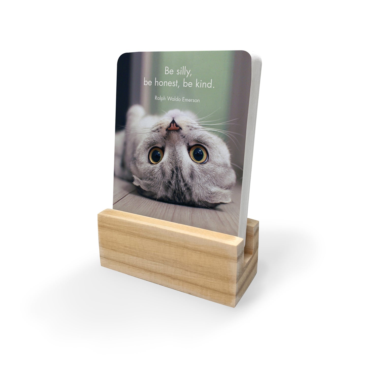 Wise Cats Affirmation Cards