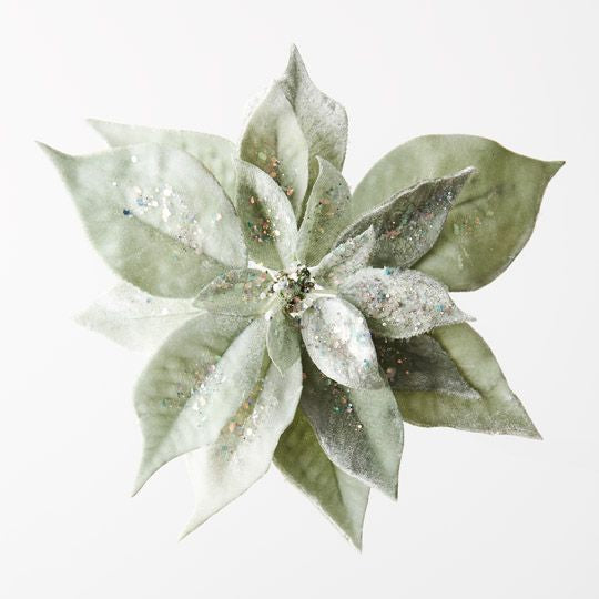 Poinsettia Velvet Clip Sage