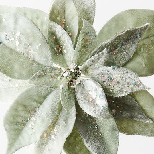 Poinsettia Velvet Clip Sage