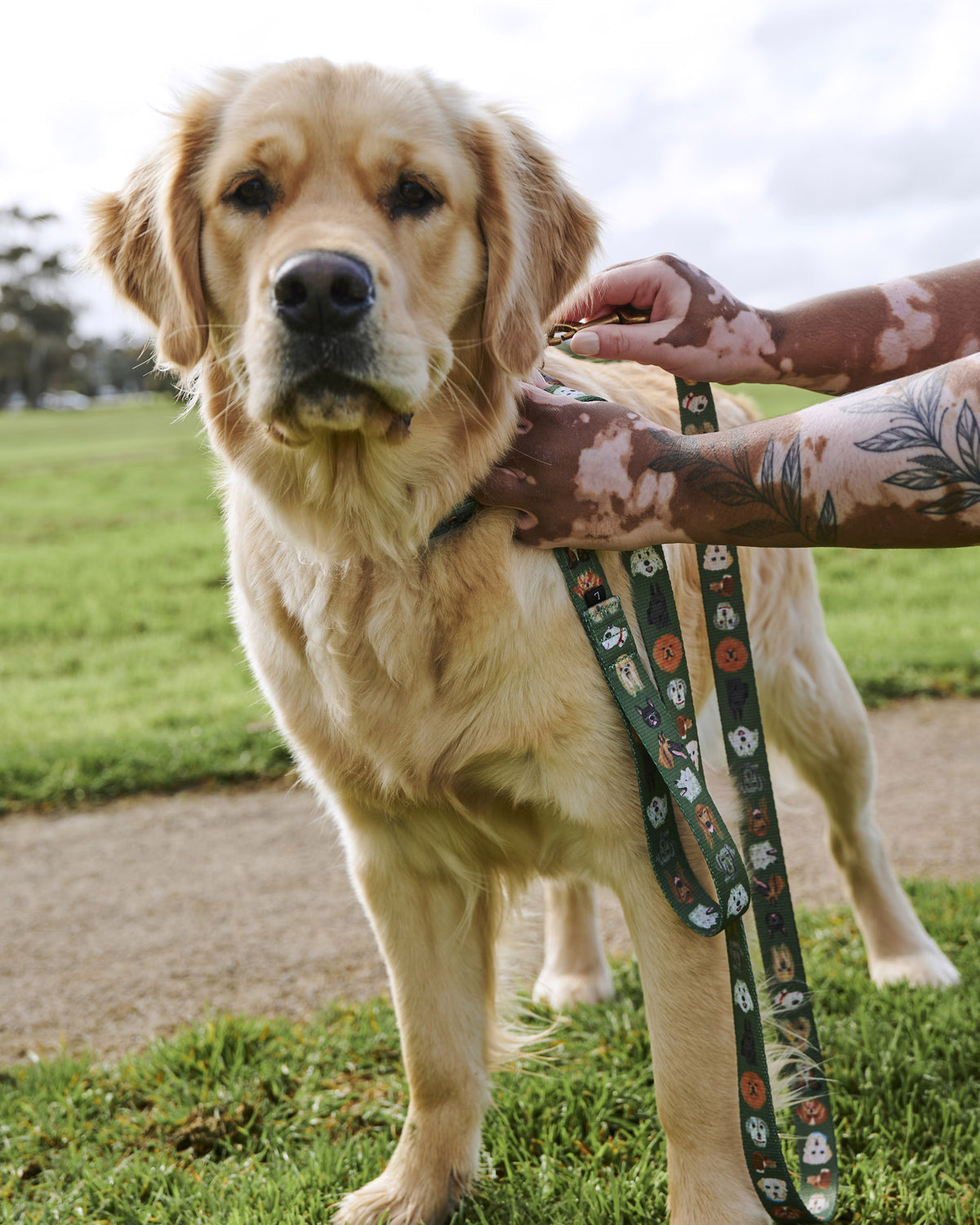 Dog Park Dog Lead - Kip&Co