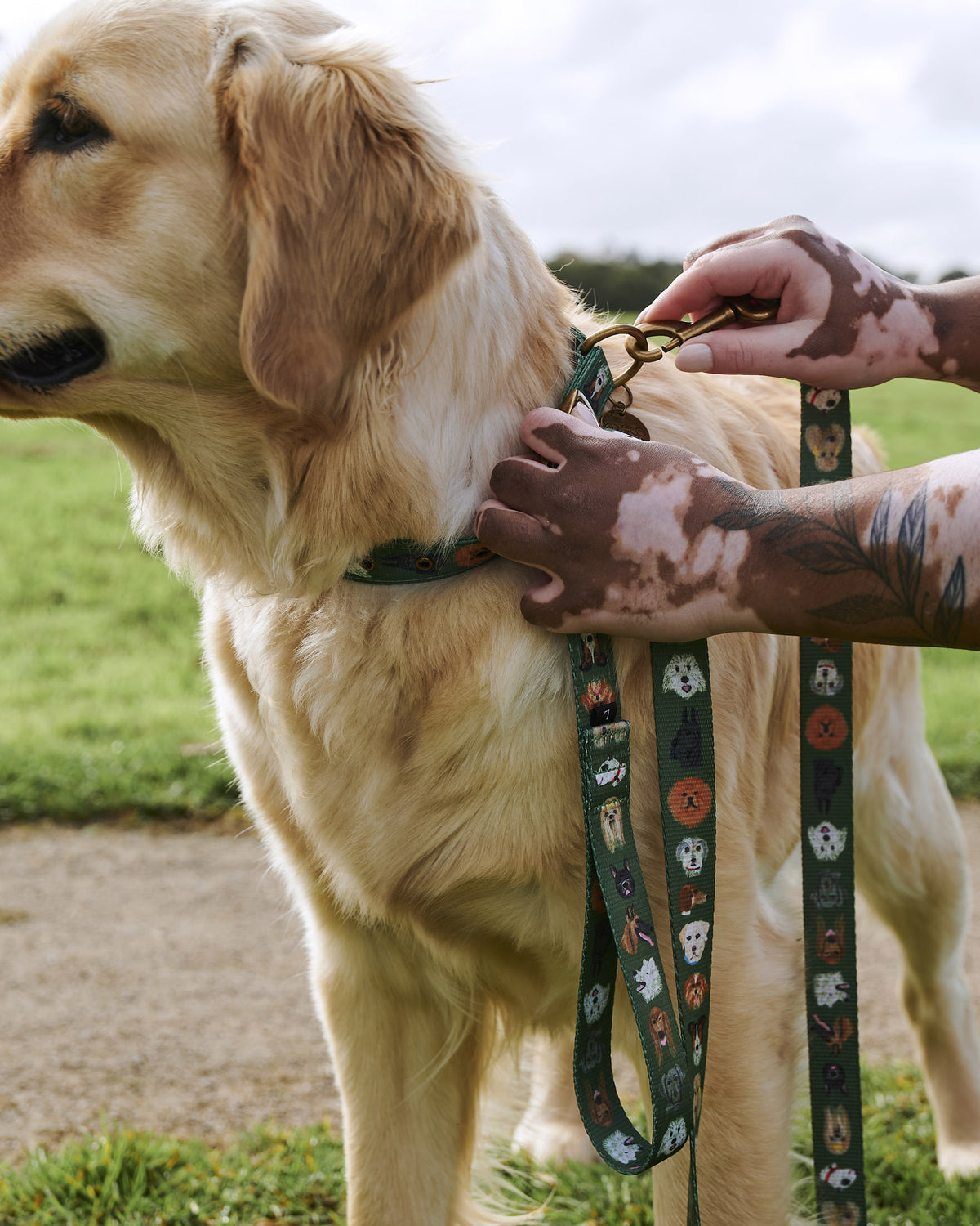 Dog Park Dog Collar - Kip&Co