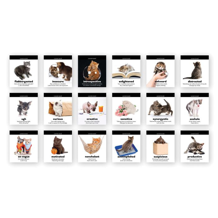 Daily Cattitudes Desktop Flip Book - Fred