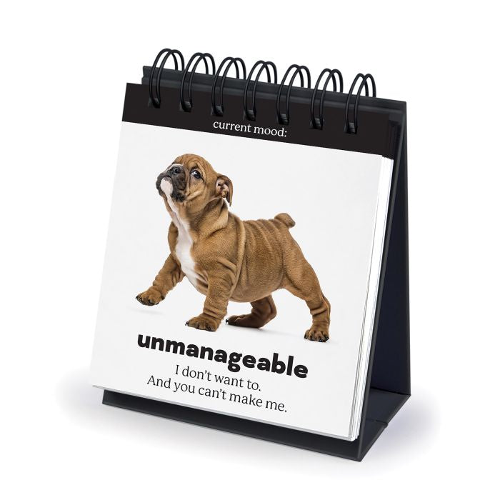 Daily Doggo Desktop Flip Book - Fred