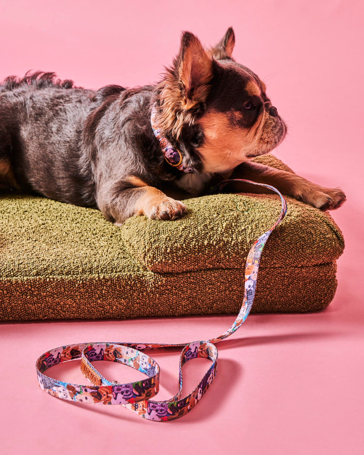 Fred Boucle Dog Bed Small - Kip&Co