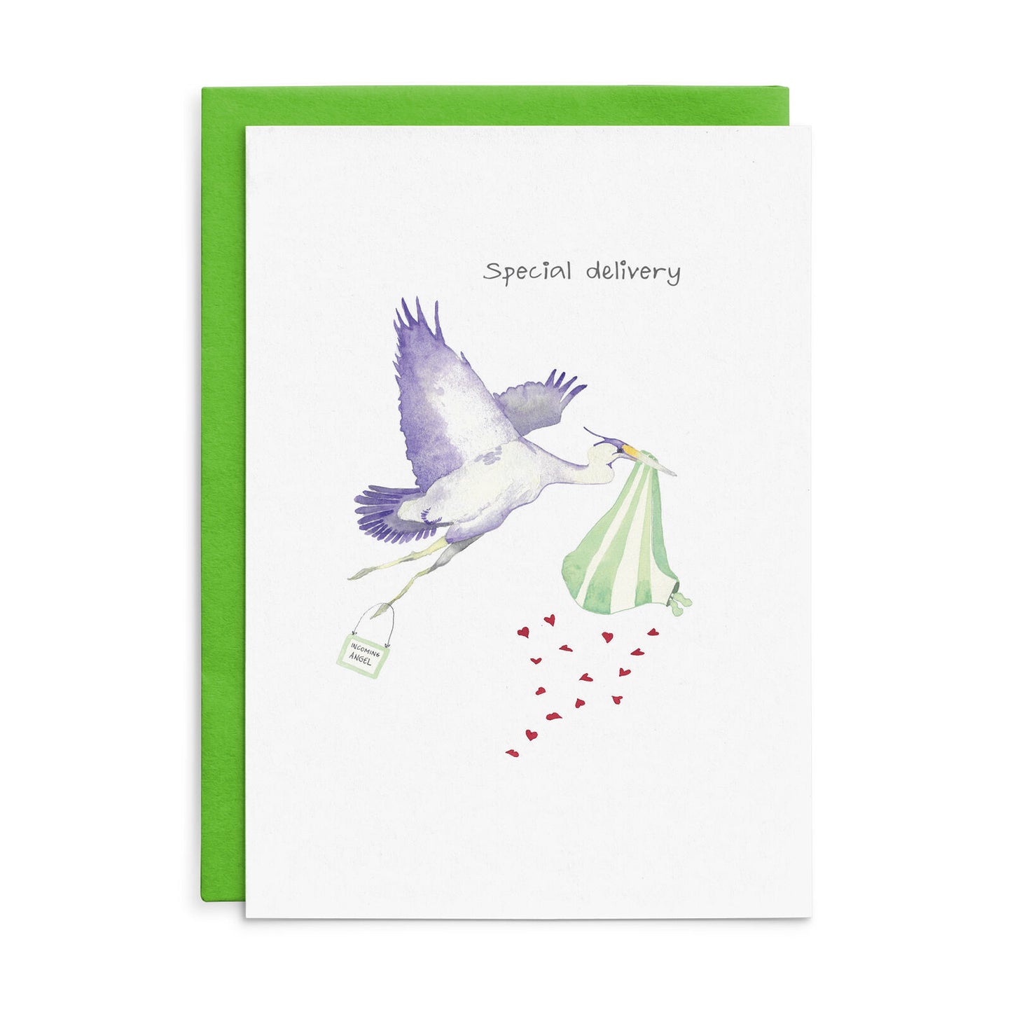 Special Delivery Greeting Card