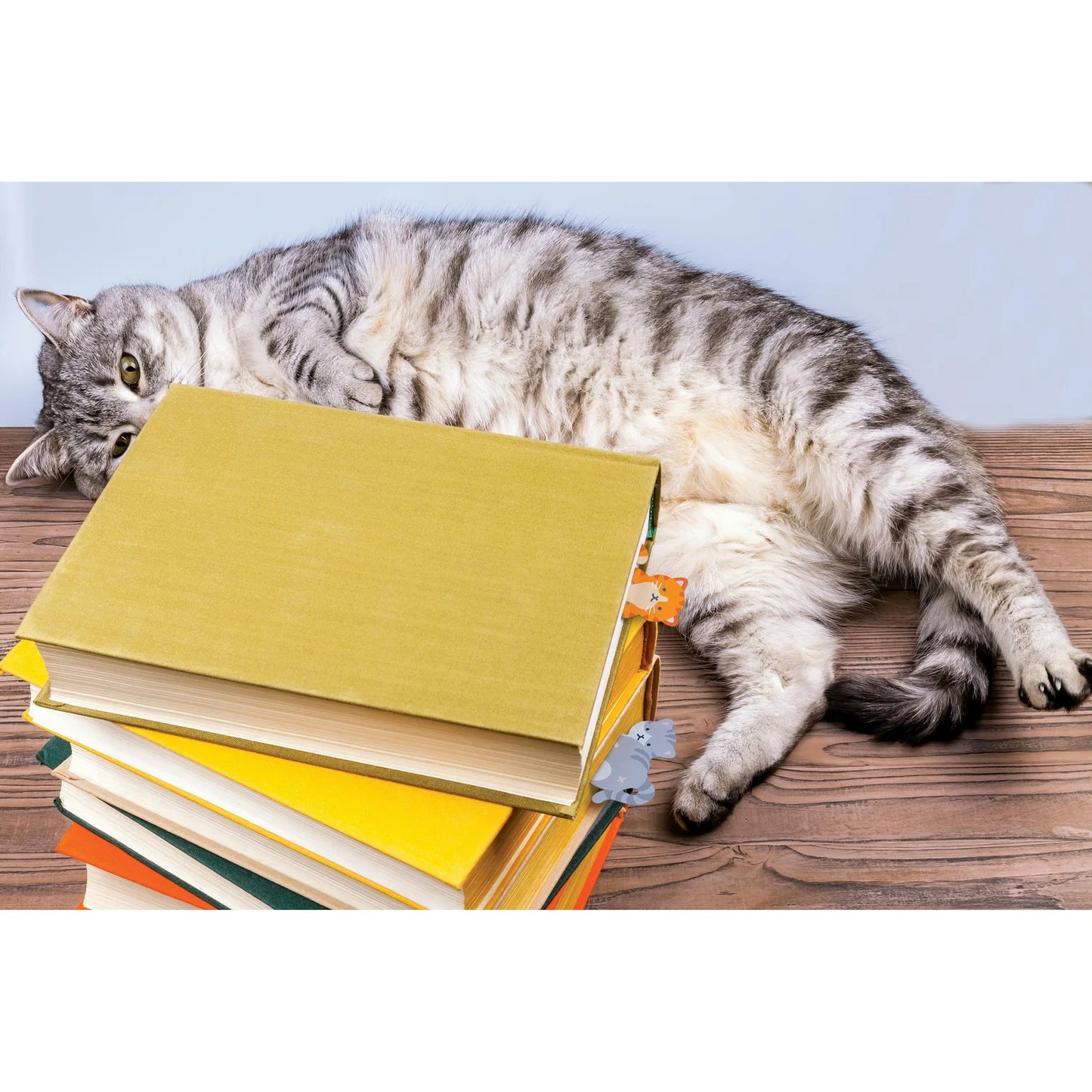 Tale End Cat Bookmarks - 2pcs Set Multi-Coloured