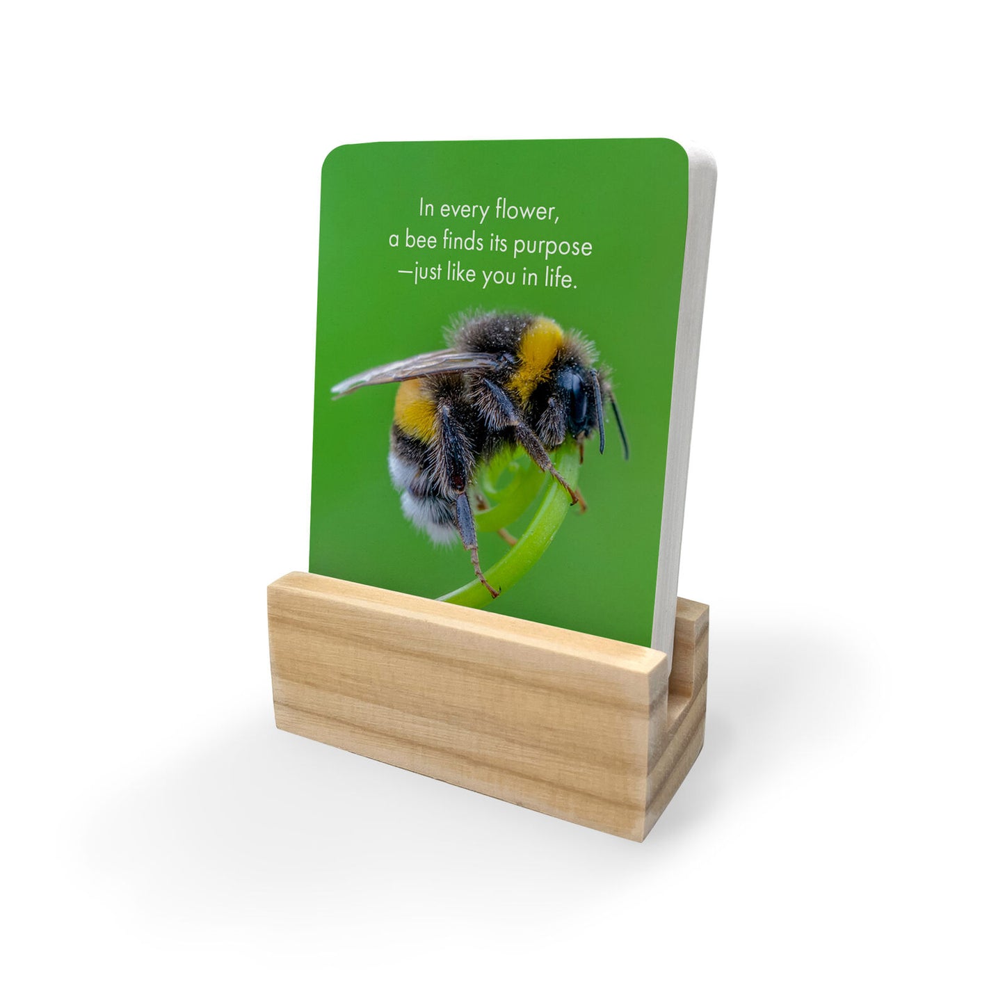 Believe In Yourself Cards