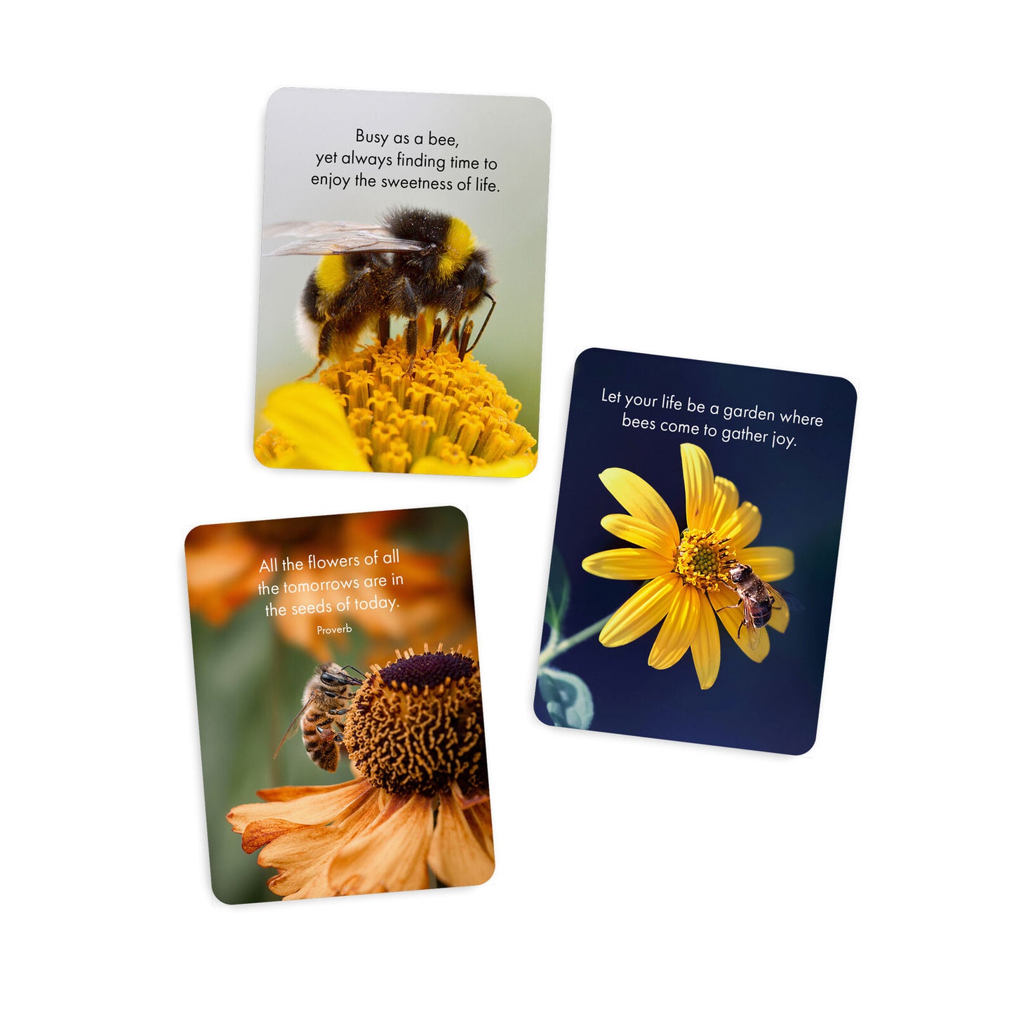 Believe In Yourself Cards - Affirmations Publishing House
