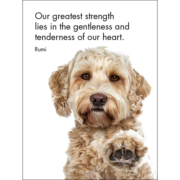 Good Dogs 24 Cards - Affirmations Publishing House