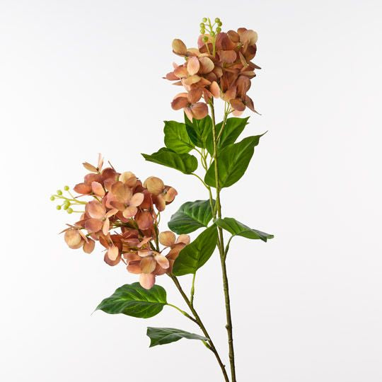 Hydrangea Spray Rust - Floral Interiors