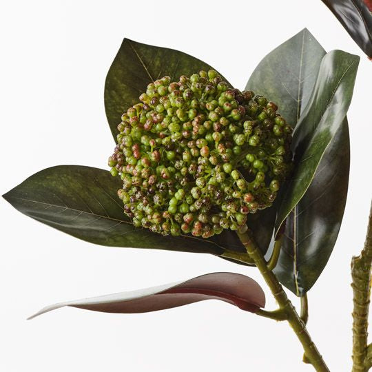 Magnolia Leaf Seed Spray - Floral Interiors