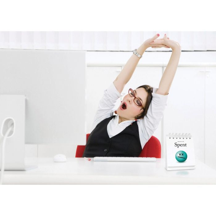 The Daily Mood Desktop Flip Book