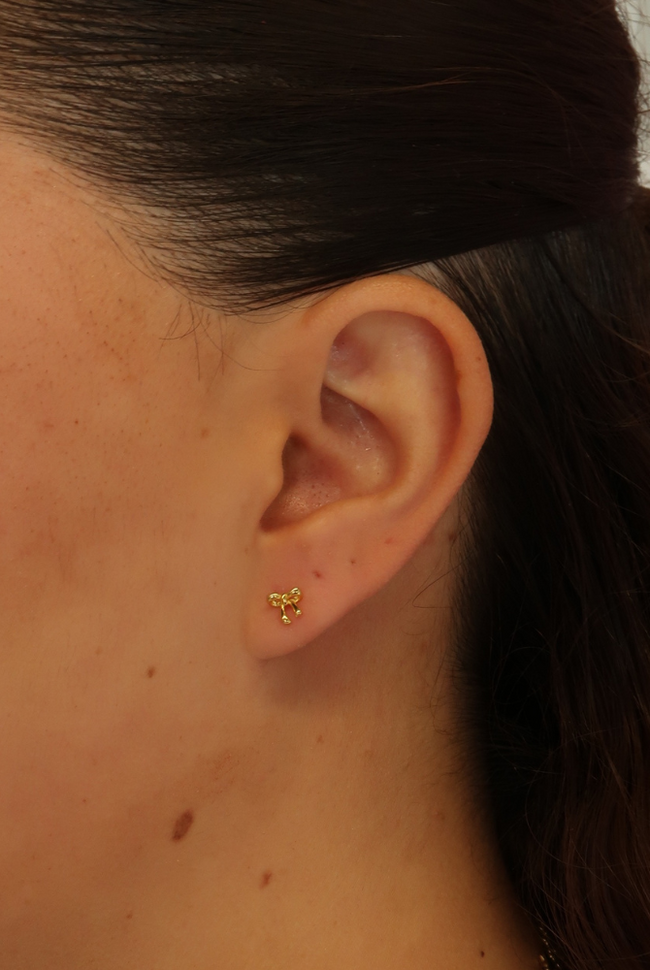 Charlotte Stud Earring