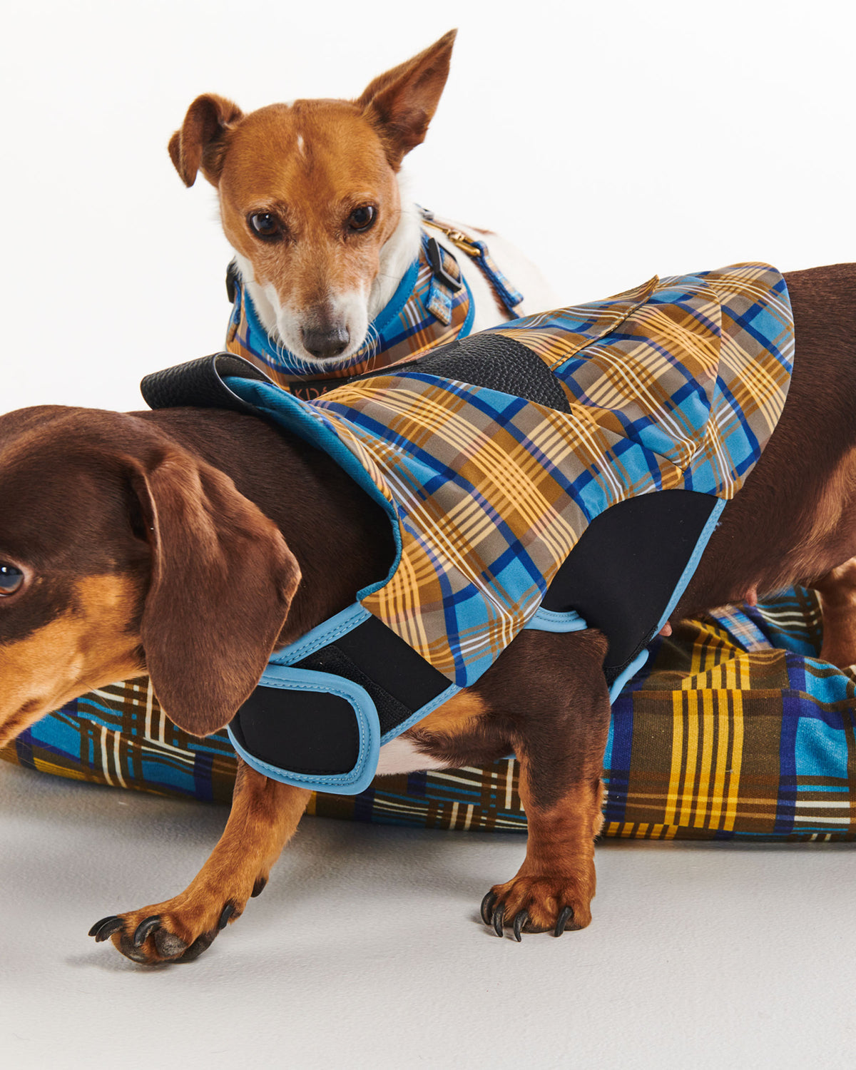 Cozy Tartan Dog Jacket- Kip&Co