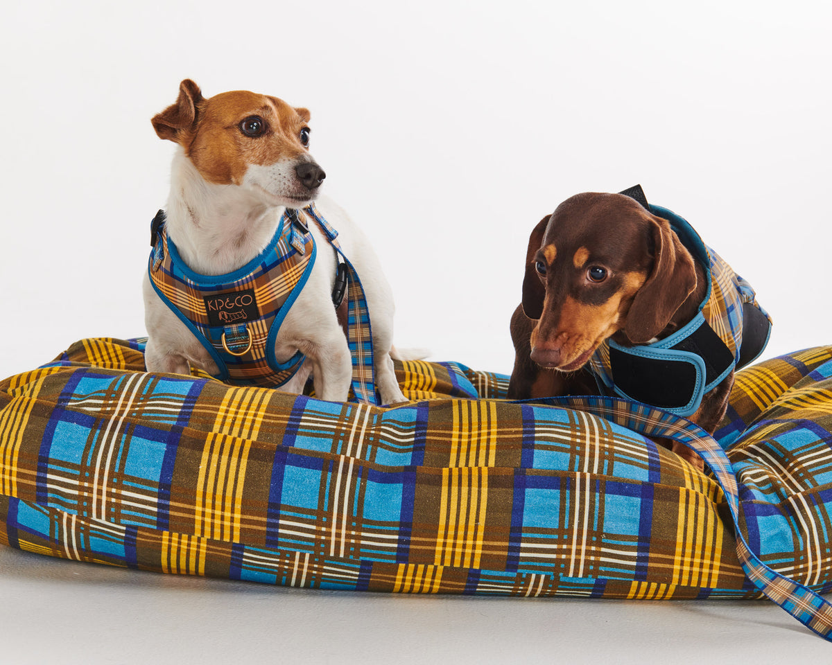 Cozy Tartan Dog Jacket- Kip&Co