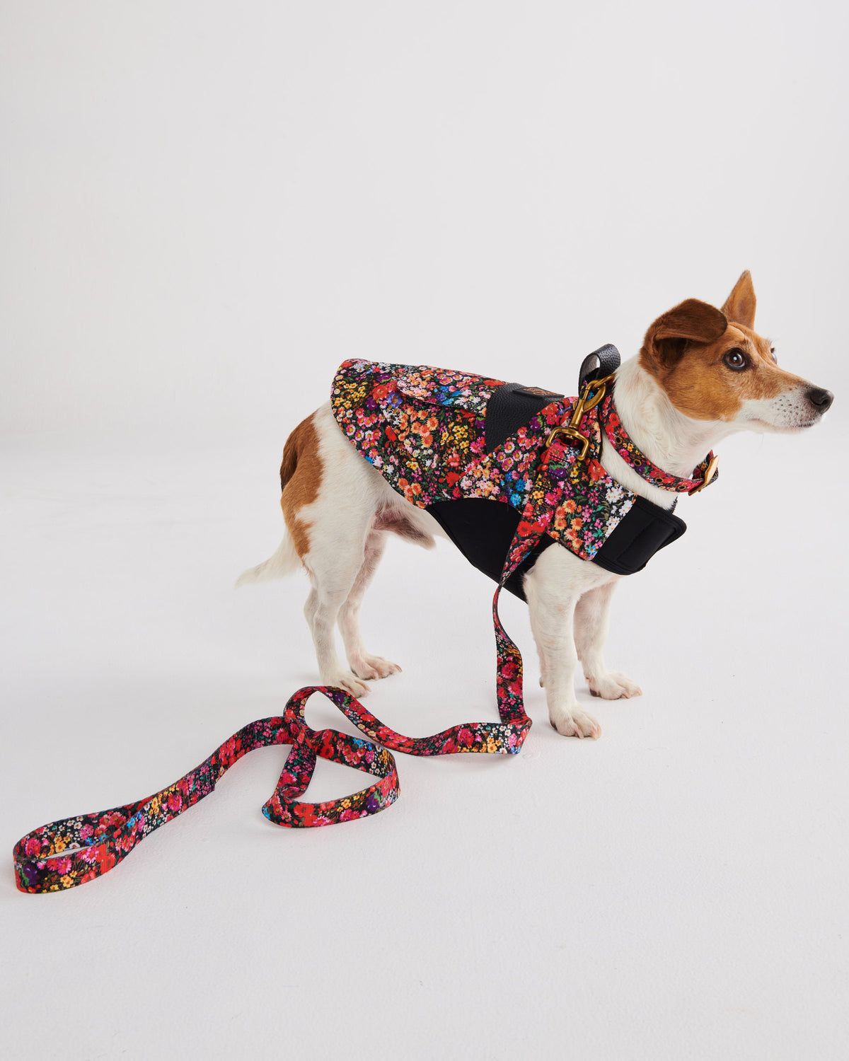 Forever Floral Black Dog Jacket- Kip&Co