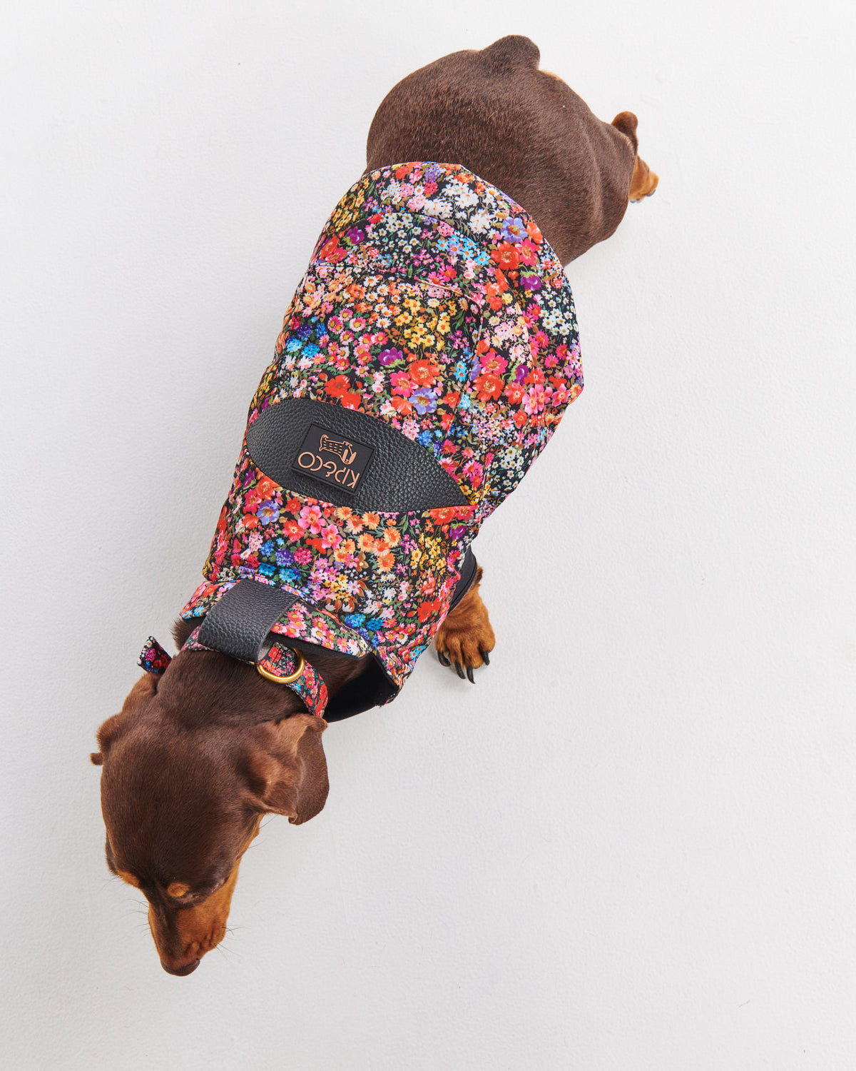 Forever Floral Black Dog Jacket- Kip&Co