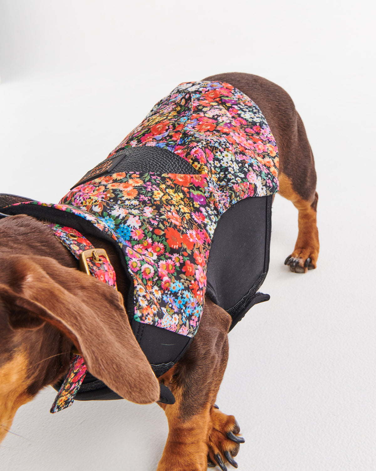 Forever Floral Black Dog Jacket- Kip&Co
