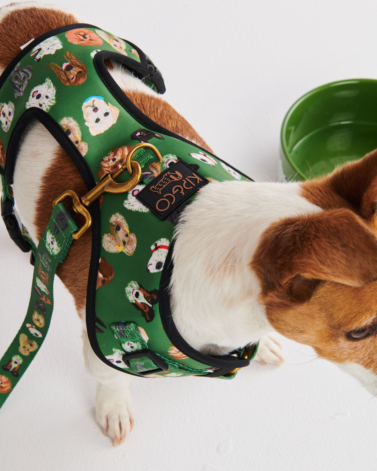 Dog Park Dog Harness- Kip&Co
