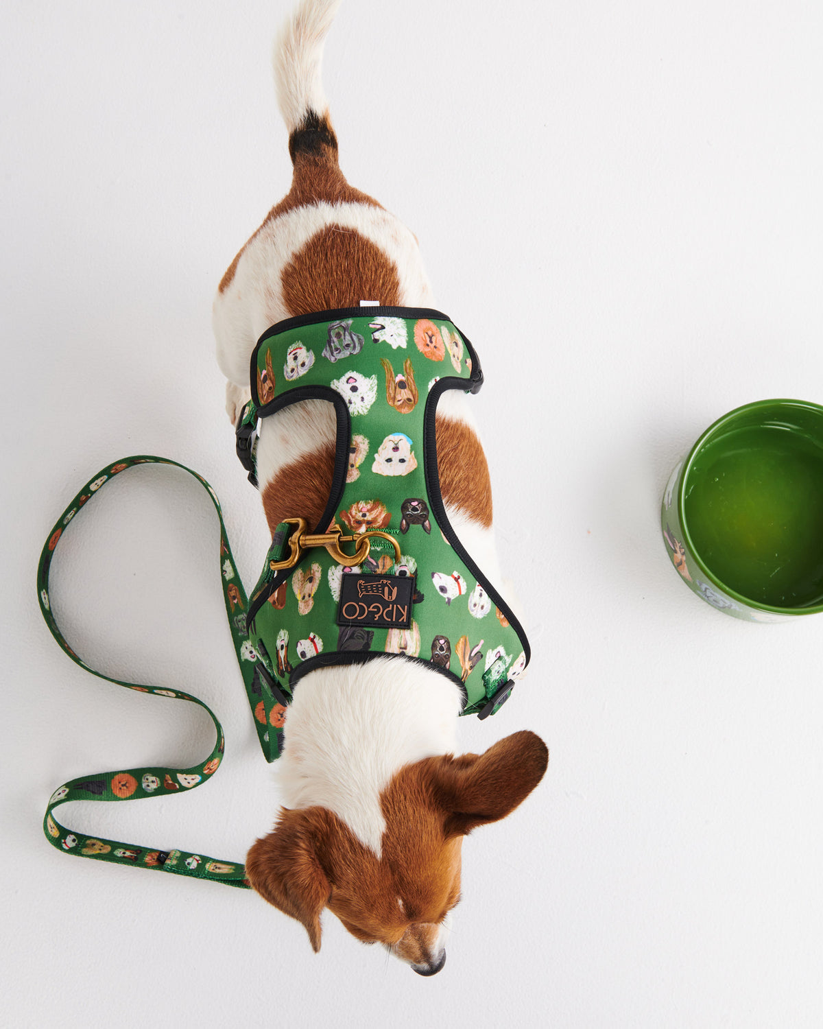 Dog Park Dog Harness- Kip&Co