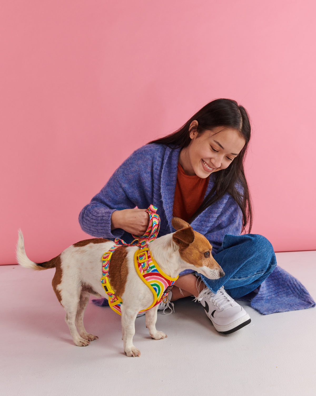 Rainbow Spray Dog Harness- Kip&Co