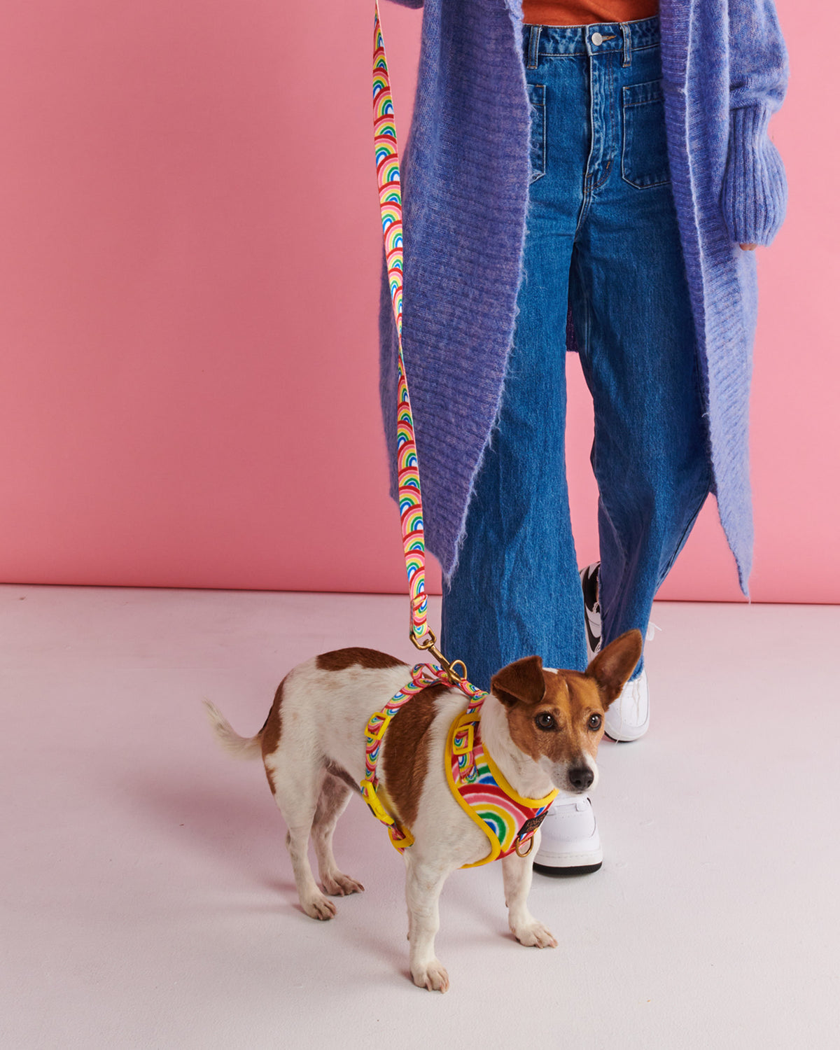 Rainbow Spray Dog Harness- Kip&Co