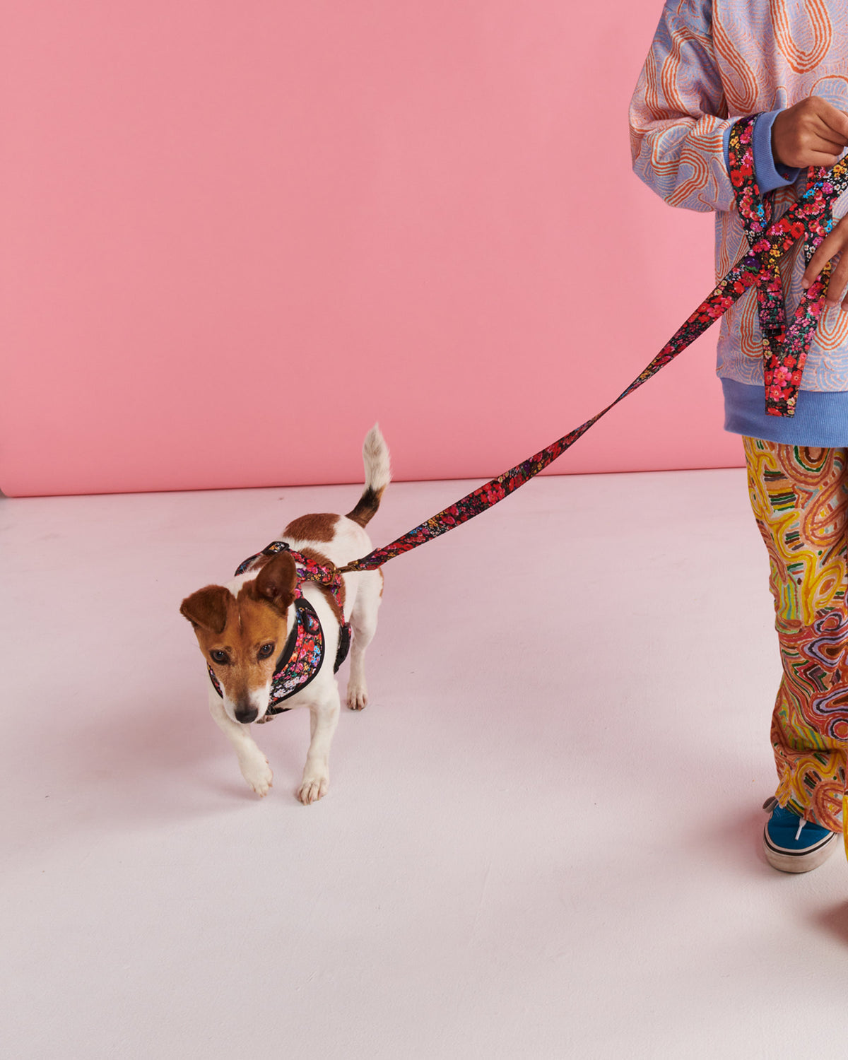 Forever Floral Black Dog Harness- Kip&Co