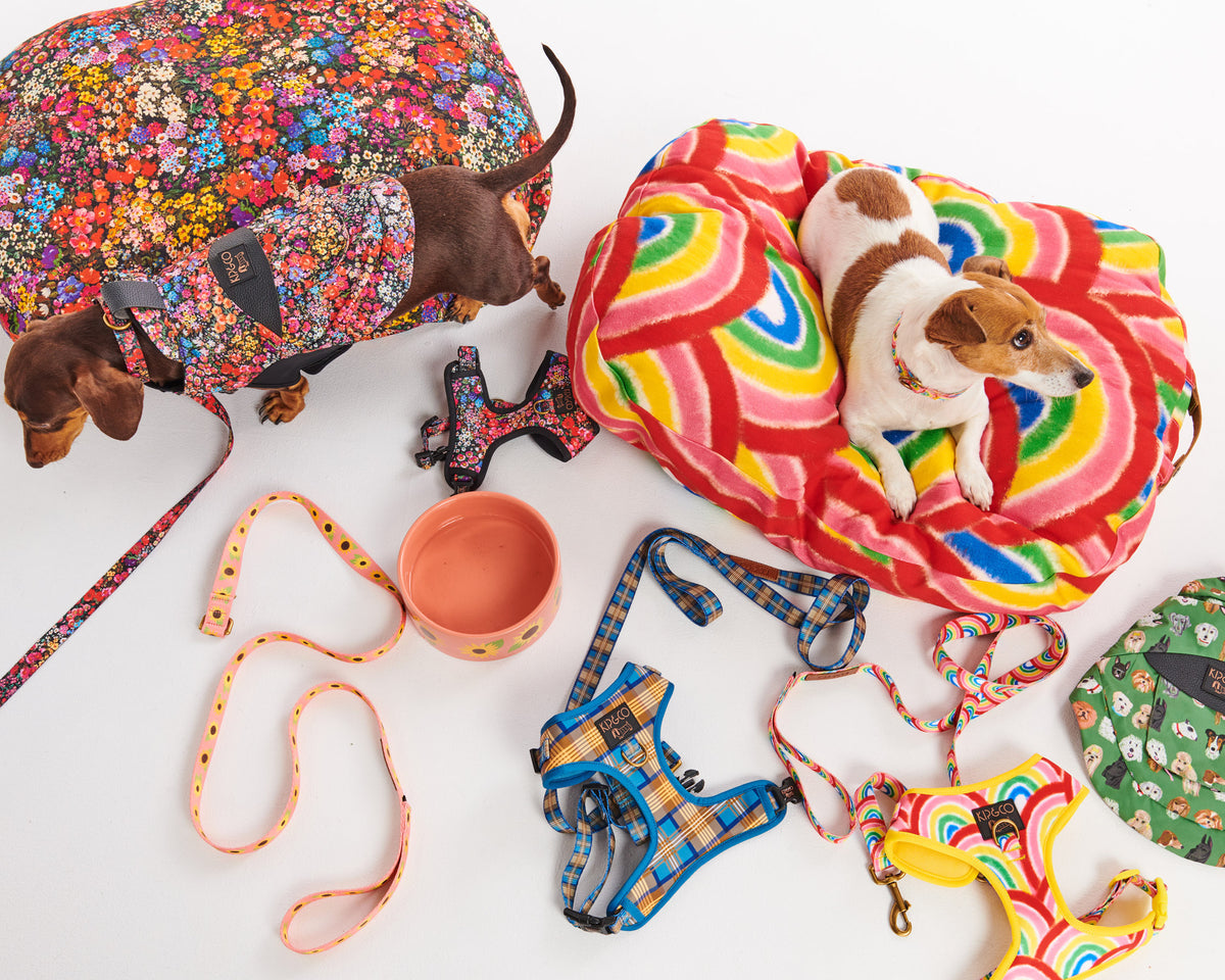 Forever Floral Black Dog Harness- Kip&Co