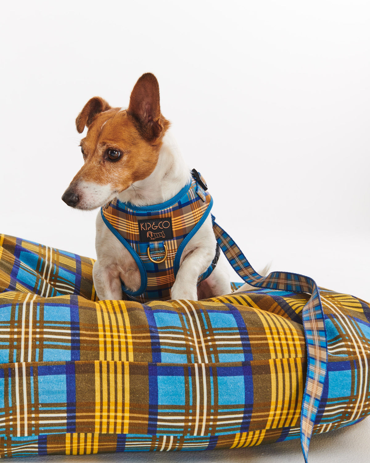 Cozy Tartan Dog Harness- Kip&Co