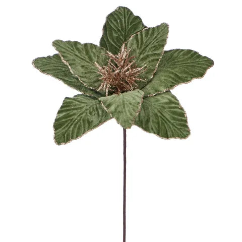 Poinsettia Green Velvet