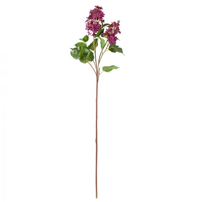 Lilac Spray Dark Burgandy - Rouge