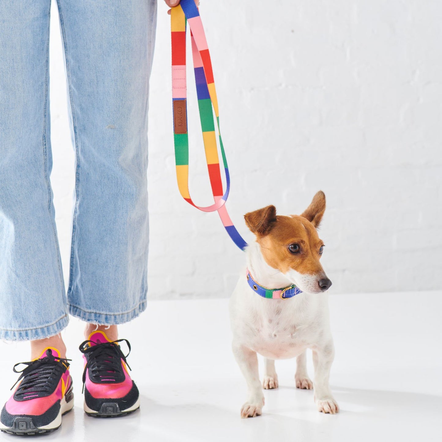 Rainbows End Dog Lead - Kip&Co