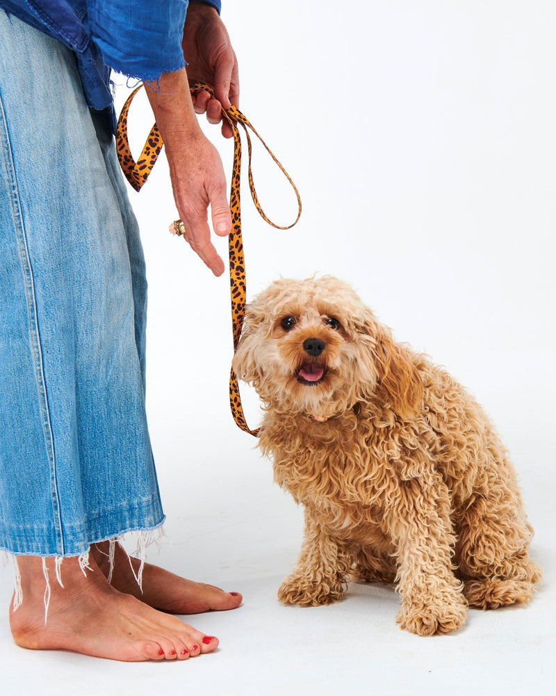 Tarzan Dog Lead - Kip&Co