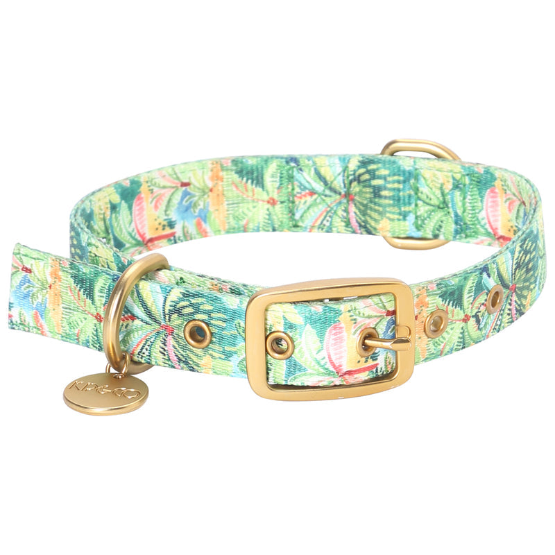 Colombo Dog Collar - Kip&Co