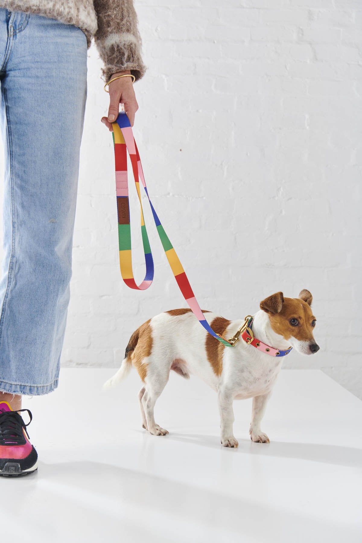 Rainbows End Dog Lead - Kip&Co