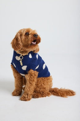 Brinkley Spot Dog Knit - Holiday